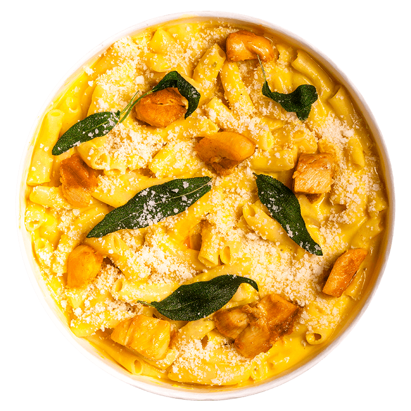 PUMPKIN SALSICCIA ALFREDO